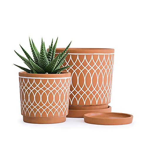D'vine Dev Set of 2 Terracotta Pots, 4 Inch and 6 Inch, Planter Pots for Plants with Drainage Holes and Saucers, Terracotta/White, 31-958-C-1 - Image 1