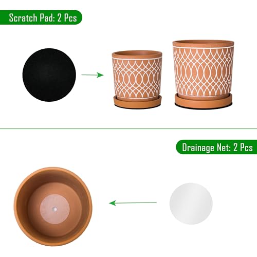 D'vine Dev Set of 2 Terracotta Pots, 4 Inch and 6 Inch, Planter Pots for Plants with Drainage Holes and Saucers, Terracotta/White, 31-958-C-1 - Image 4