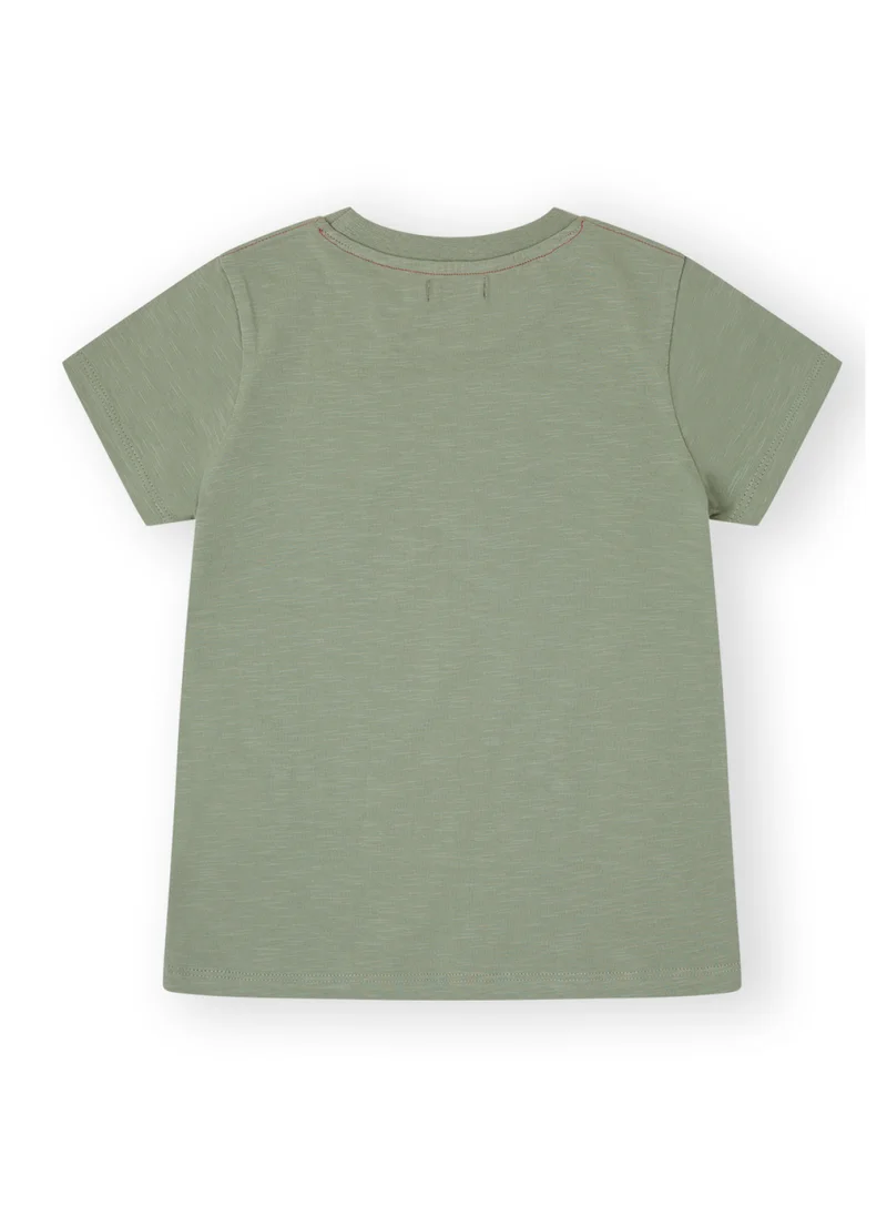 CANADA HOUSE Soft and Comfortable Green 100% Organic Cotton T-shirt for Boys