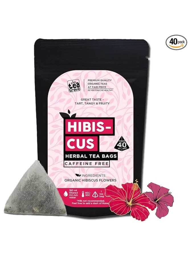 the tea trove Hibiscus 40pcs biodegradable pyramid tea bags pouch - Image 1