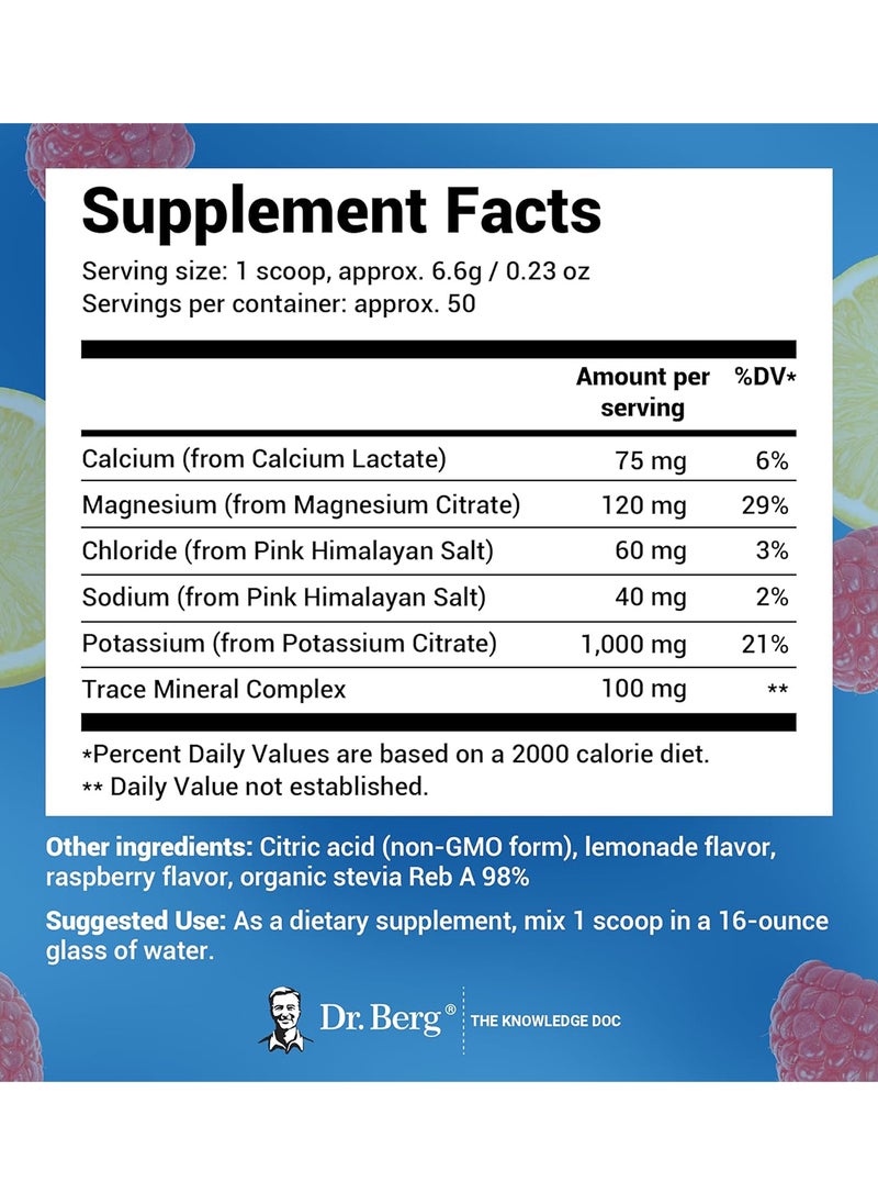 Dr. Berg Nutritional - Nutritional Electrolyte Powder Solo Pack - Image 1