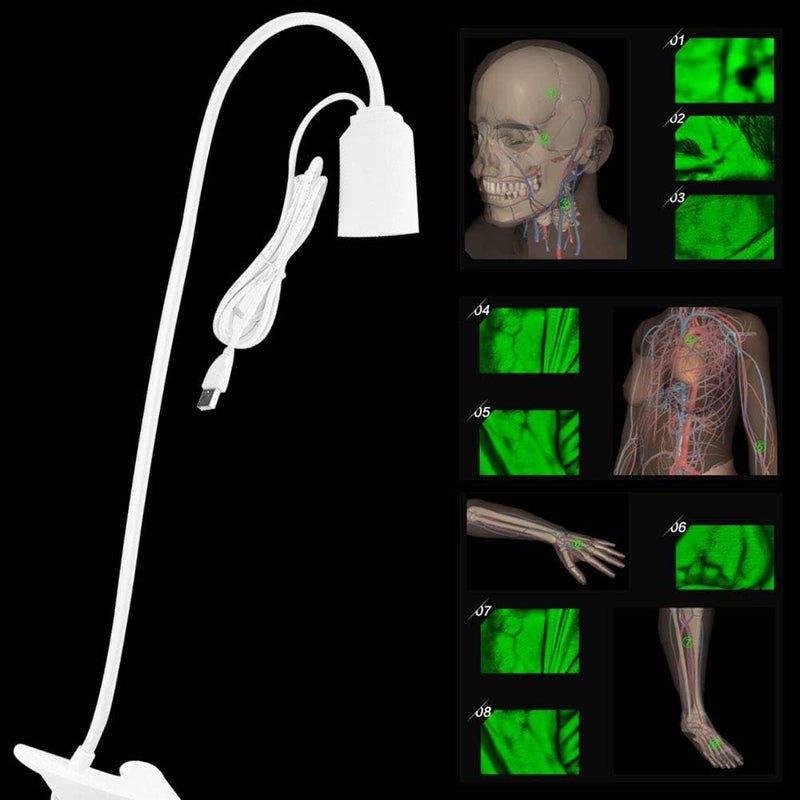 klarako Vein Finder, Led Vein Display Vein Finder, Lights Imaging Vein Finder for Adult Baby, Vein Viewer Transilluminator, Vein Display Instrument - Image 3