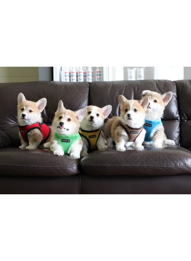 بوبيا سترة PUPPIA International Puppia Harness Soft B باللون الأسود صغيرة الحجم - Image 4