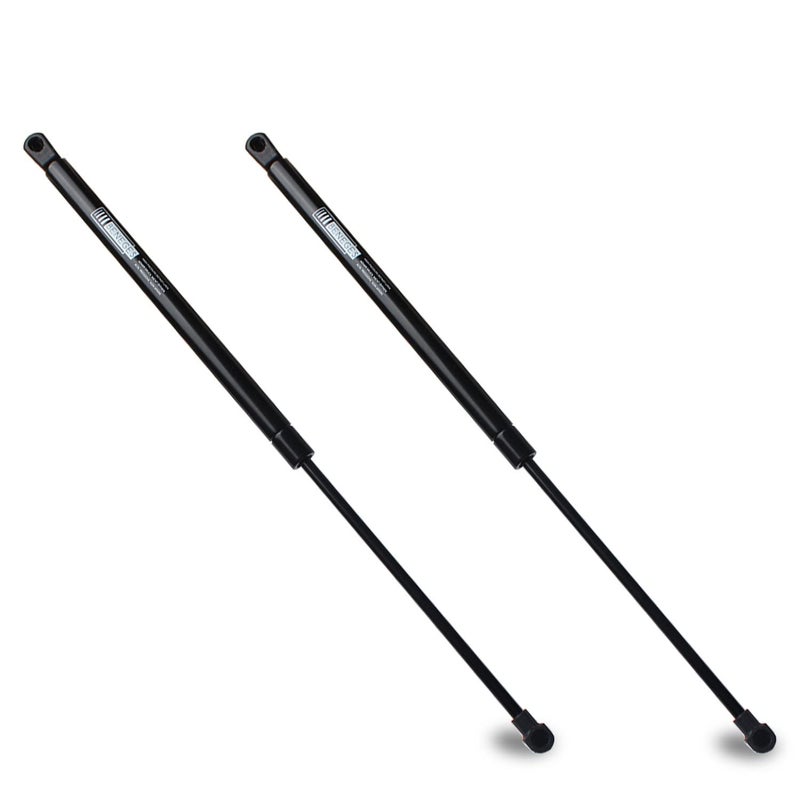 Beneges 2PCs Hood Lift Supports Compatible with 20102015 Lexus RX350 RX450h Front Hood Gas Spring Charged Struts Shocks Dampers 6755 SG229046 534400W200 PM3269