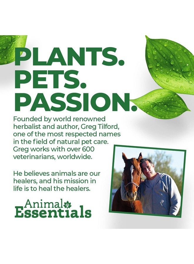 Animal Essentials Detox Blend - Liver Support for Dogs & Cats, Herbal Liver Supplement, Veterinarian Recommended Animal Wellness Tonics - 2 Fl Oz - Image 3