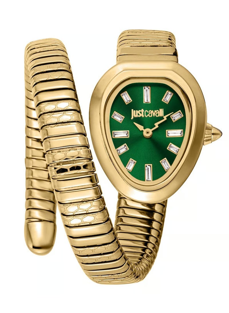 JC Just Cavalli JC1L222M0035 Aversa Watch for Women - Image 1