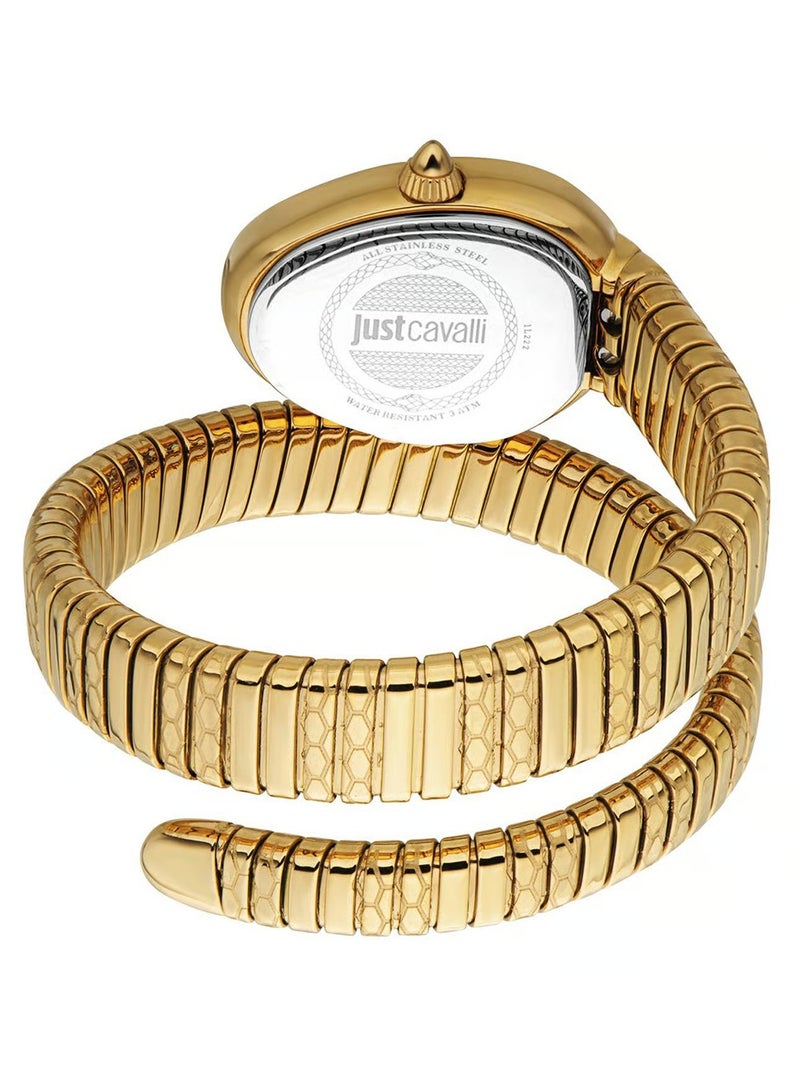 JC Just Cavalli JC1L222M0035 Aversa Watch for Women - Image 2