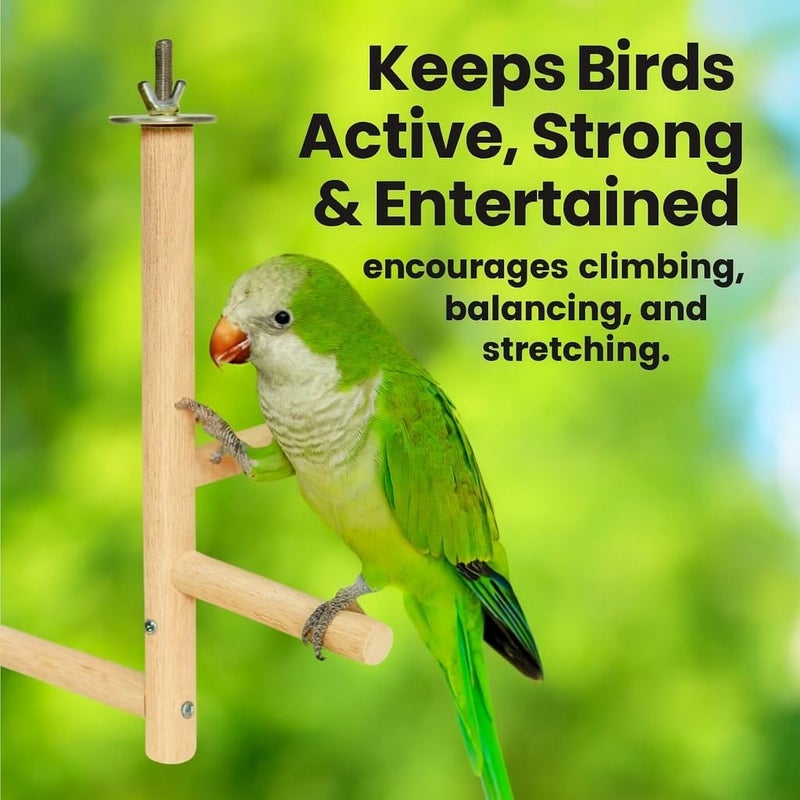 كي اس كي لعبة مقعد طائر الببغاء Birds Parrot Perch Toys، مصنوعة من الخشب الطبيعي، مزودة بميزة القفز والوقوف. - Image 3