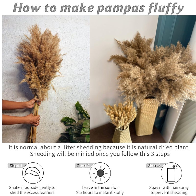Sorcish Natural Dried Pampas Grass 6 pcs Brown Color Size (25 inches) - Image 4