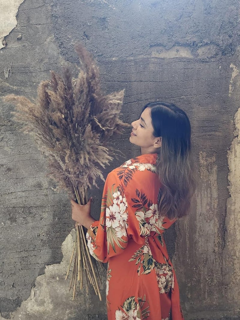 Sorcish Natural Dried Pampas Grass 6 pcs Brown Color Size (25 inches) - Image 5