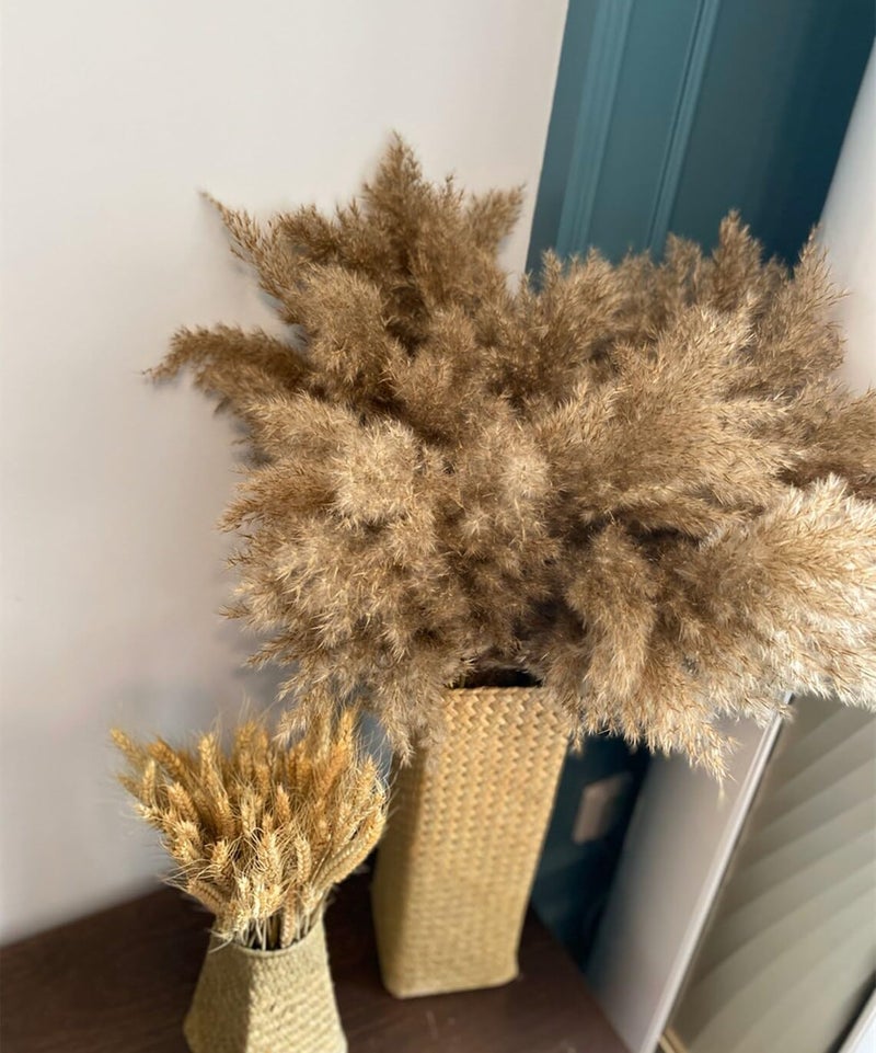 Sorcish Natural Dried Pampas Grass 6 pcs Brown Color Size (25 inches) - Image 1