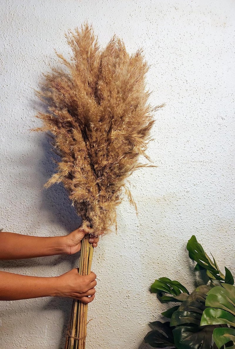Sorcish Natural Dried Pampas Grass 6 pcs Brown Color Size (25 inches) - Image 3