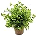 Svenee Svenee Fake Four Leaf Clover Plants for Bathroom Home Office Desk Decor, Small Artificial Faux Greenery for Farmhouse  - Image 2