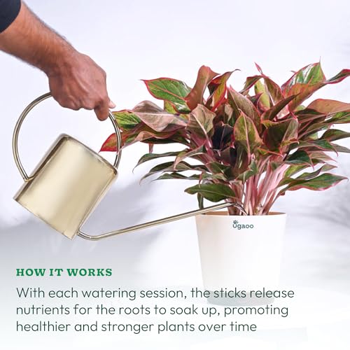 UGAOO Plant Food Bloom Sticks for All Flowering Plants Home Garden - Pack of 20 - Image 5