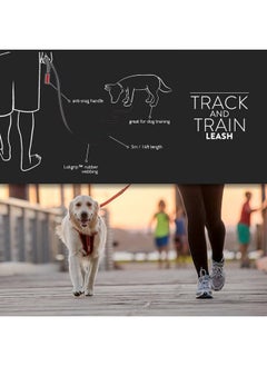 EzyDog Track and Train Premium Dog Leash - 16-Foot Extra Long Dog Lead Perfect for Training Your Pup with Ease - Includes Traffic Control Handle for Safety and Security (16', Red) - pzsku/ZADB233C448962C211BF7Z/45/_/1737031570/84229bee-2828-482f-8532-409e8d95d8cc