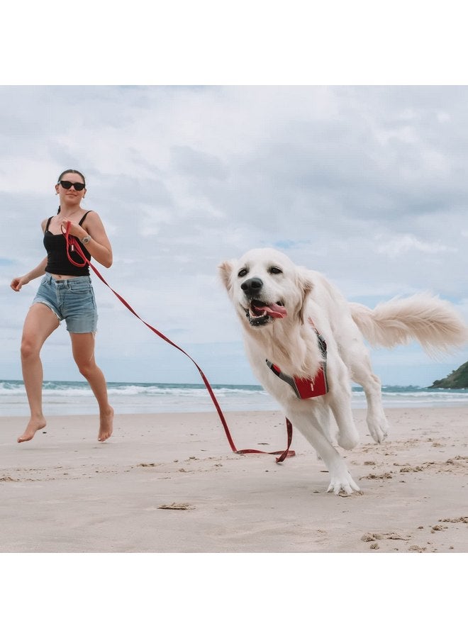 EzyDog Track and Train Premium Dog Leash - 16-Foot Extra Long Dog Lead Perfect for Training Your Pup with Ease - Includes Traffic Control Handle for Safety and Security (16', Red) - Image 4