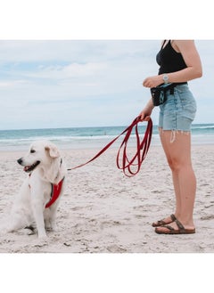 EzyDog Track and Train Premium Dog Leash - 16-Foot Extra Long Dog Lead Perfect for Training Your Pup with Ease - Includes Traffic Control Handle for Safety and Security (16', Red) - pzsku/ZADB233C448962C211BF7Z/45/_/1737031585/cf96e02c-b2bc-44c7-aae5-8f91880fc92a