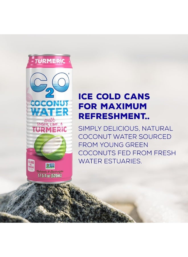 C2O - ماء جوز الهند مع الزنجبيل والليمون والكركم (12 عبوة) - مصنوع من ماء جوز الهند الطازج - نباتي - غير معدل وراثيًا - ماء معلب - ترطيب طبيعي، إلكتروليتات، وبوتاسيوم - 12 علبة، 17.5 أونصة سائلة - Image 3