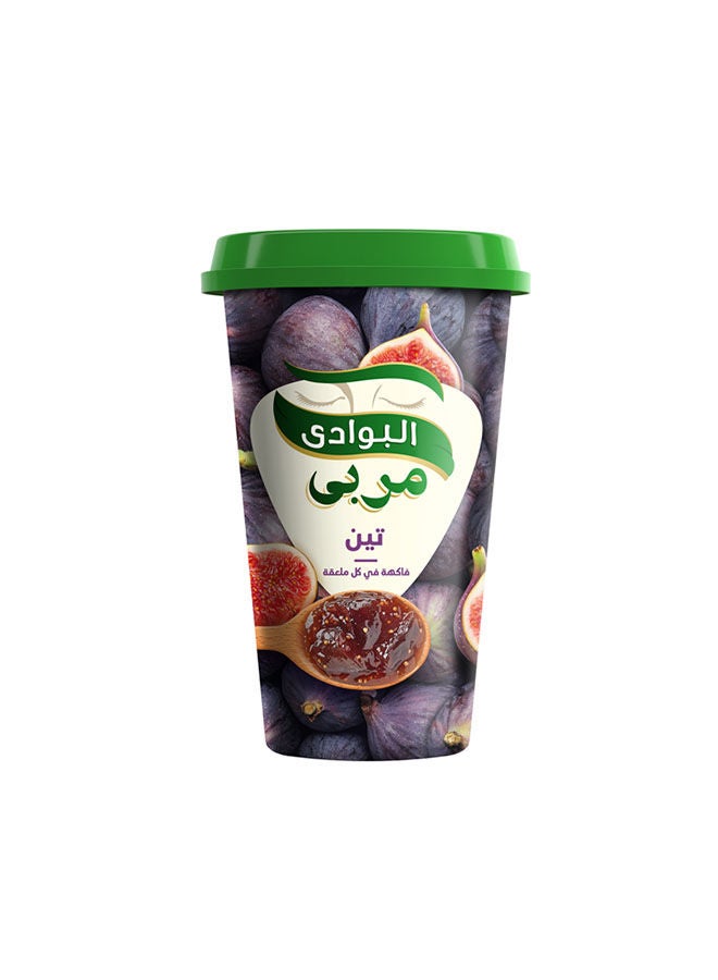 سعر ومواصفات البوادي مربى تين 350 جرام (ZADB356E5ADE6375C7589Z) على Noon EG