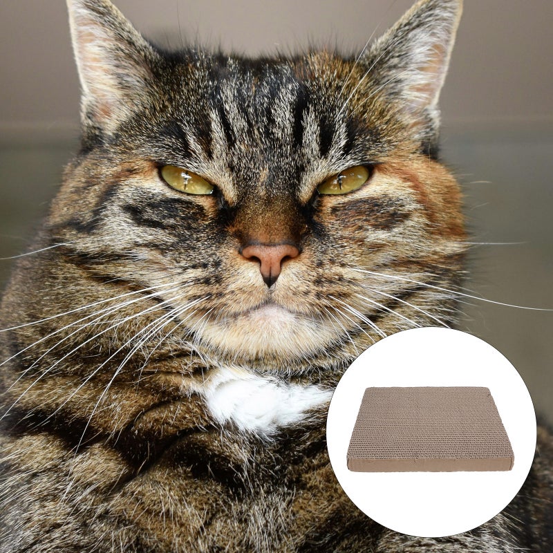 Cat Scratcher Board Replacement Scratching Pad Kittens Scratching Corrugated Cardboard Replacement - Image 1