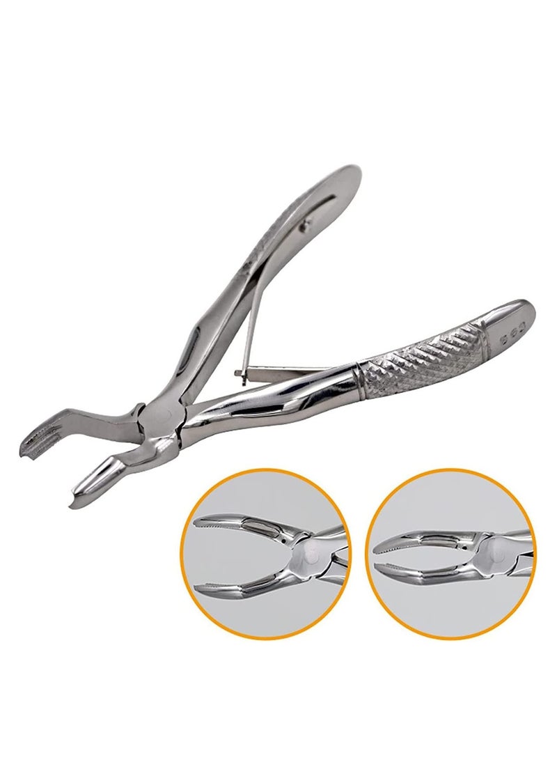 BIONEX EXTRACTION FORCEPS PEDO SET OF 7 IN POUCH STANDARD - Image 3