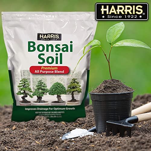 Harris Bonsai Soil, All Purpose Premium Blend for Outstanding Growth, 2qt - Image 5