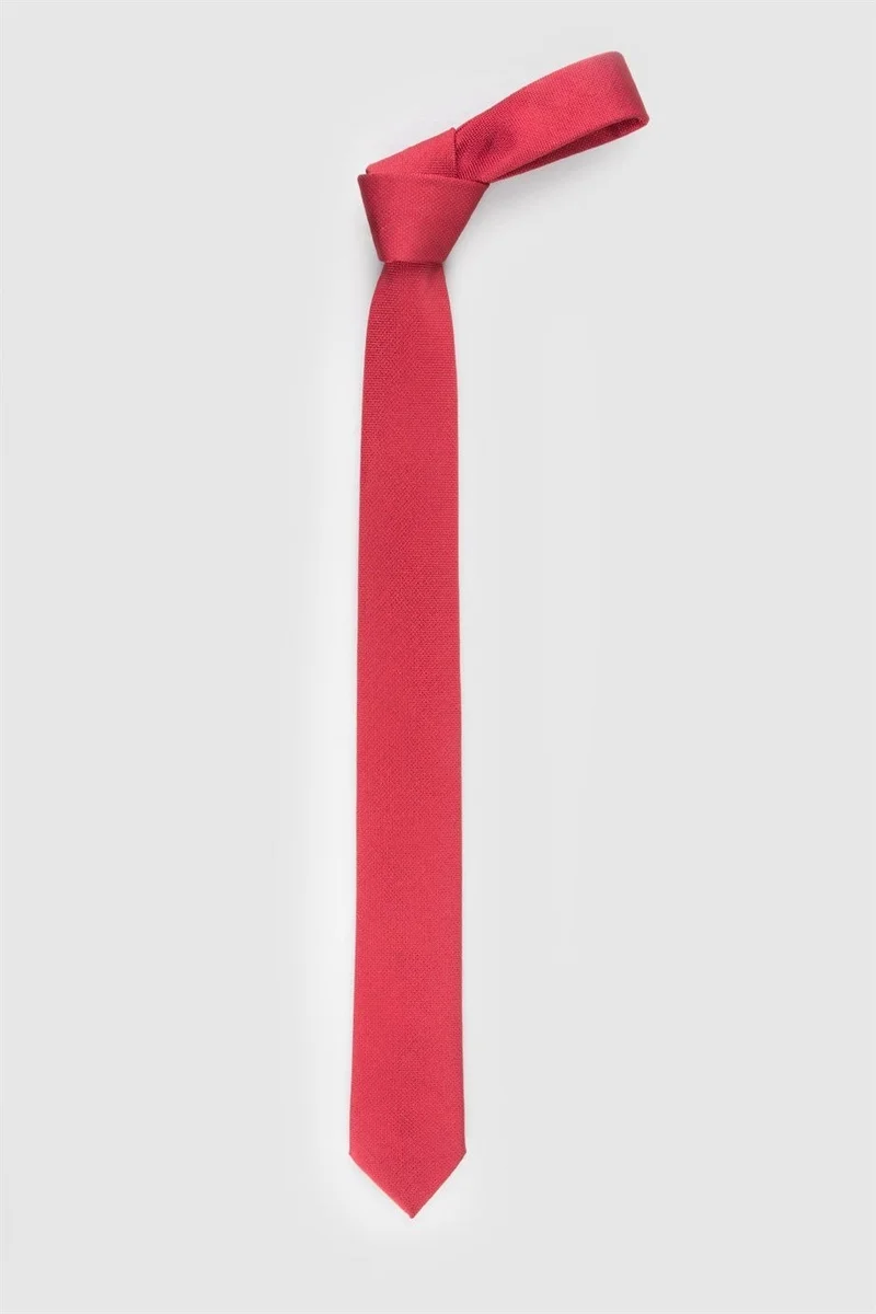 Tudors Self Patterned Plain Men's Burgundy Tie