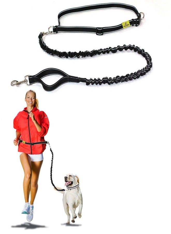 Hertzko Hands Free Dog Leash by Hertzko - Great Running Leash for m=Medium to Large Dogs - Strong, Durable and Weather Resistant Nylon Bungee Leash (36 inches Bungee) - Image 1