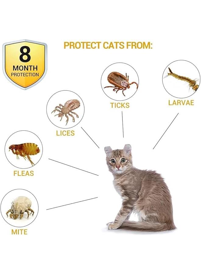 HOOKOR 4 Pack Flea and Tick Collar for Cats and Dogs,Cat Flea and Tick Collar, Adjustable Natural Repellent Tick, Effective Protection Waterproof Cat Prevention Flea Collar (Cat)  - Image 2