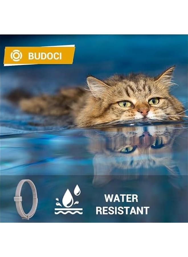 HOOKOR 4 Pack Flea and Tick Collar for Cats and Dogs,Cat Flea and Tick Collar, Adjustable Natural Repellent Tick, Effective Protection Waterproof Cat Prevention Flea Collar (Cat)  - Image 4