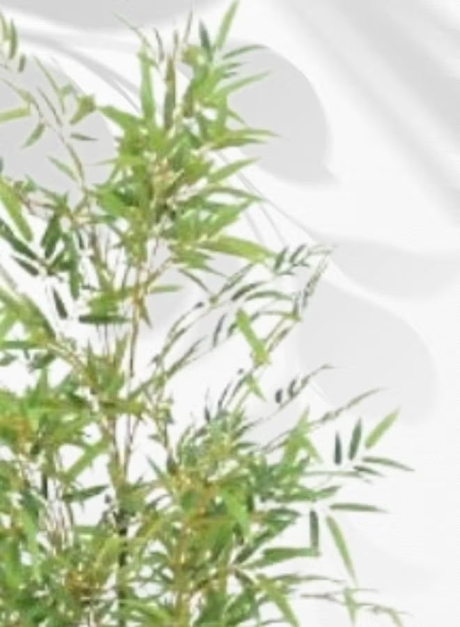 Bamboo Artificial Bamboo Potted Plant – 180cm, Yellow Pole, Realistic Decorative Green Plant for Home, Office, Mall & Garden - Image 5