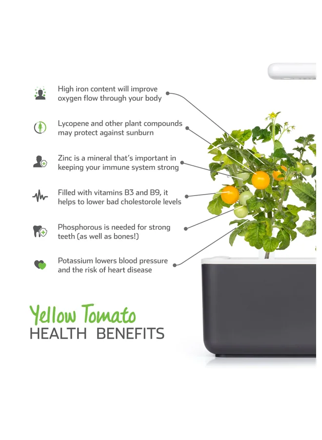 Click & Grow CLICK & GROW YELLOW MINI TOMATO SMART GARDEN REFIL