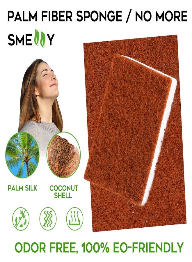PANYEE Natural Plant Based Scrub Sponge 12 Pack, Palm Fiber Scrubbing Sponge with Non Scratch Biodegradable Compostable Sponges,Long Lasting No Smell Dishwashing Kitchen Scrubber - Image 2