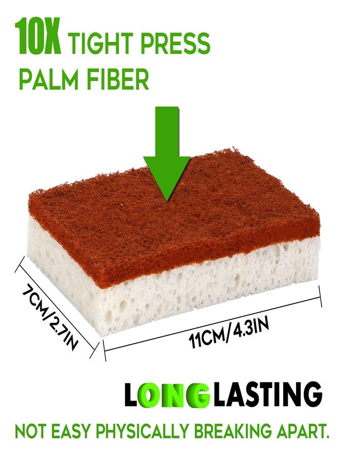 PANYEE Natural Plant Based Scrub Sponge 12 Pack, Palm Fiber Scrubbing Sponge with Non Scratch Biodegradable Compostable Sponges,Long Lasting No Smell Dishwashing Kitchen Scrubber - Image 3