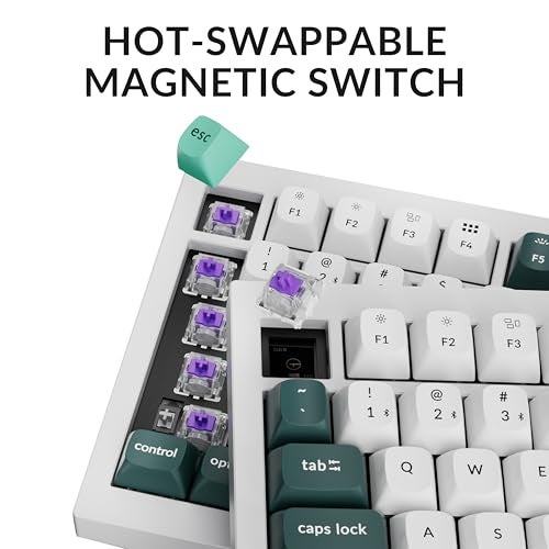 Keychron Q1 HE Wireless QMK Custom Mechanical Keyboard with Hall Effect Gateron Double-Rail Magnetic Switch Rapid Trigger, 2.4 GHz Bluetooth RGB Compatible with Mac Windows Linux (Hot-swappable) - Image 4