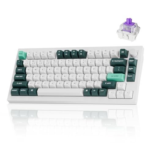 Keychron Q1 HE Wireless QMK Custom Mechanical Keyboard with Hall Effect Gateron Double-Rail Magnetic Switch Rapid Trigger, 2.4 GHz Bluetooth RGB Compatible with Mac Windows Linux (Hot-swappable) - Image 1