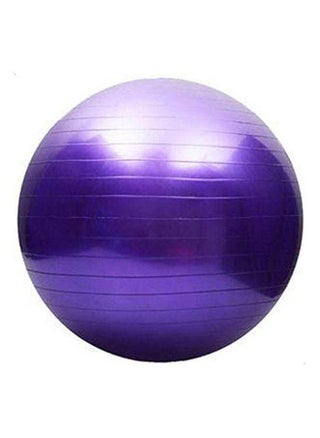 75cm Exercise Ball with Adjustable Resistance for Advanced Training - pzsku/ZADBECE63AC3167B50703Z/45/_/1713656516/bd524be3-df54-49db-a413-9d469461fb28