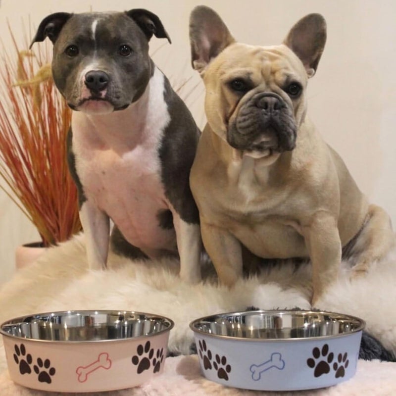 Loving Pets Bella Bowl, Dog Bowl, Extra Large, Murano Blue - Image 5