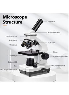 KASTWAVE 100X-2000X Microscopes for Kids Students Adults, Powerful Biological Microscopes for School Laboratory Home Education,with Microscope Slides Set, Phone Adapter  - Image 4