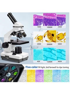 KASTWAVE 100X-2000X Microscopes for Kids Students Adults, Powerful Biological Microscopes for School Laboratory Home Education,with Microscope Slides Set, Phone Adapter  - Image 2