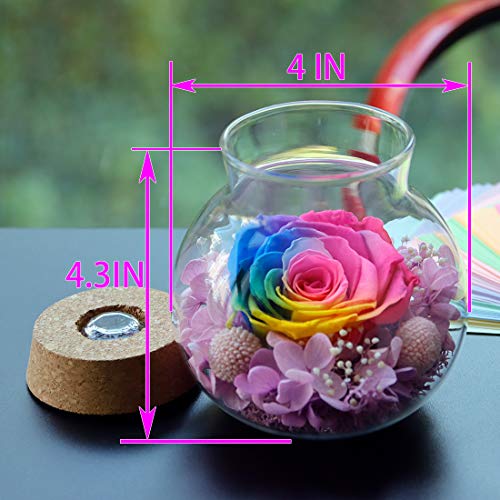 roliys Preserved Real Roses with Colorful Mood Light Wishing Bottle,Eternal Rose，Never Withered Flowers,for Bedroom Party Table Decor, Christmas Anniversary,Valentine's,Mother's Day, (Multi) - Image 2