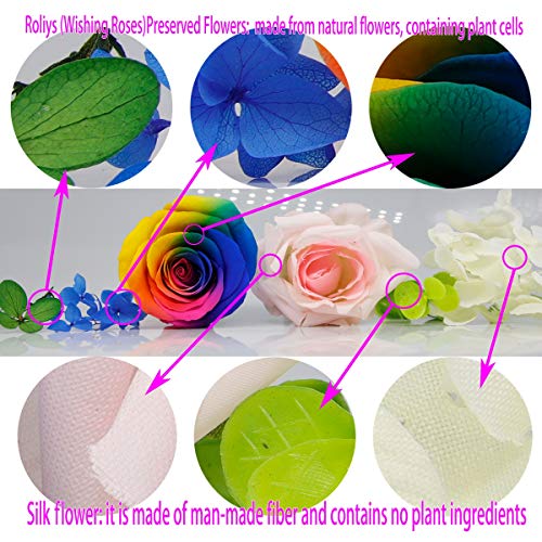 roliys Preserved Real Roses with Colorful Mood Light Wishing Bottle,Eternal Rose，Never Withered Flowers,for Bedroom Party Table Decor, Christmas Anniversary,Valentine's,Mother's Day, (Multi) - Image 4