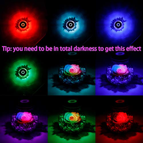 roliys Preserved Real Roses with Colorful Mood Light Wishing Bottle,Eternal Rose，Never Withered Flowers,for Bedroom Party Table Decor, Christmas Anniversary,Valentine's,Mother's Day, (Multi) - Image 5