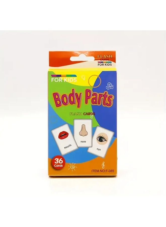 Body Parts English Flashcards High Frequency Vocabulary Kids Education Teaching Gifts - Image 1
