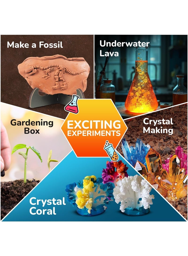 سمارتيفيتي مجموعة سمارتيفيتي ميجا كريستال لعلوم الأرض (SMRT1280) - Image 3