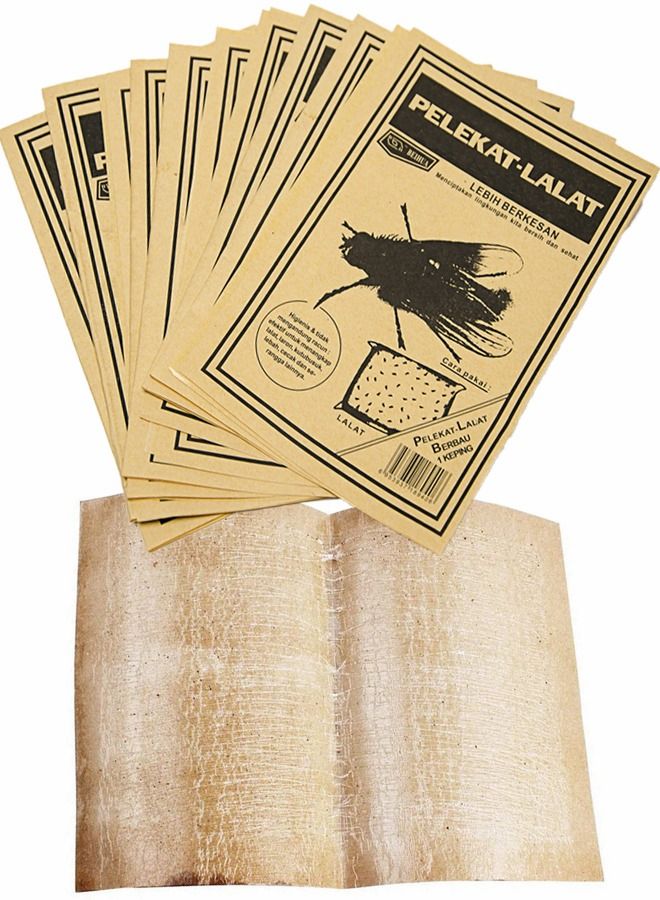 HomarKet 10 pcs Fly sticker,Sticky Traps for Flying Plant Insect Such as Fungus Gnats, Aphids  - Image 1
