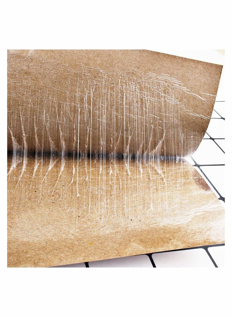 HomarKet 10 pcs Fly sticker,Sticky Traps for Flying Plant Insect Such as Fungus Gnats, Aphids  - Image 4