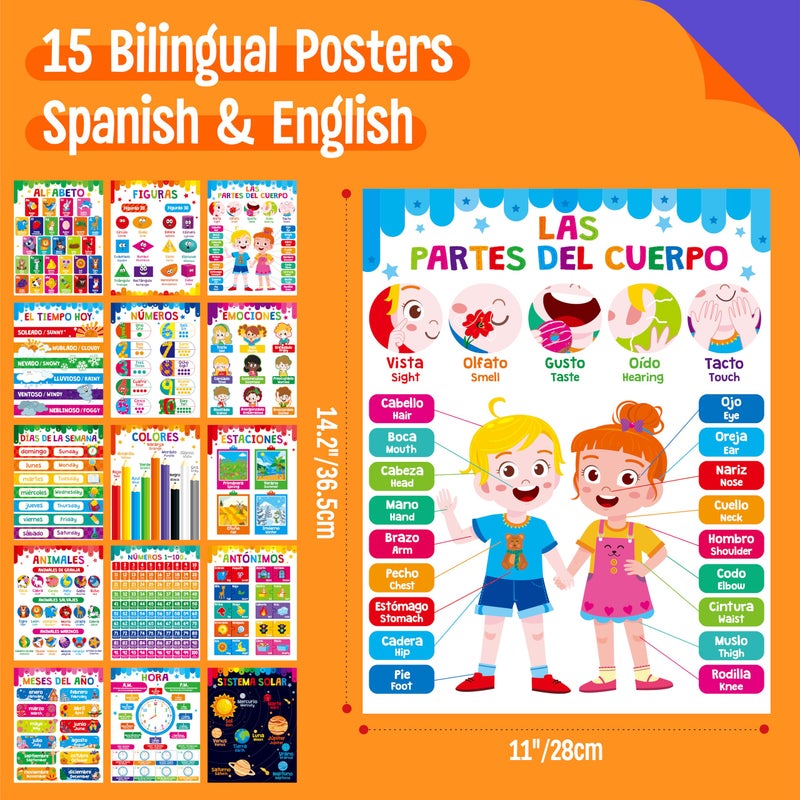 SpriteGru 15 Packs Spanish & English Educational Posters, Thick Elementary Bilingual Poster Waterproof & Tearproof with PET Film, Early Language Learning Tool Educational Posters for Kindergarten Preschool - Image 2