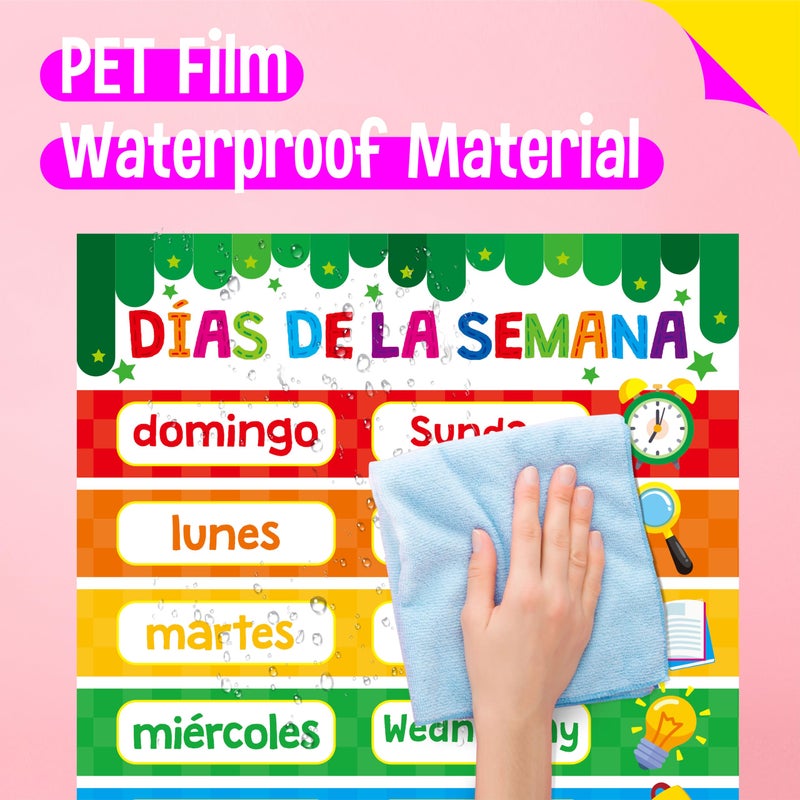 SpriteGru 15 Packs Spanish & English Educational Posters, Thick Elementary Bilingual Poster Waterproof & Tearproof with PET Film, Early Language Learning Tool Educational Posters for Kindergarten Preschool - Image 4