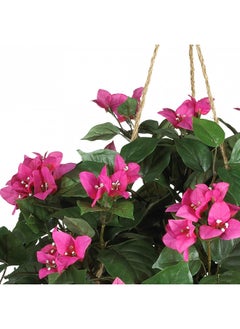 Nearly Natural Bougainvillea Basket Silk 1 Artificial Hanging Plant, 32 x 32 x 24, Green, Pink - pzsku/ZADC3FC21F63334F3B06CZ/45/_/1731696538/2ca44454-38b2-4e49-8bad-908429a12467